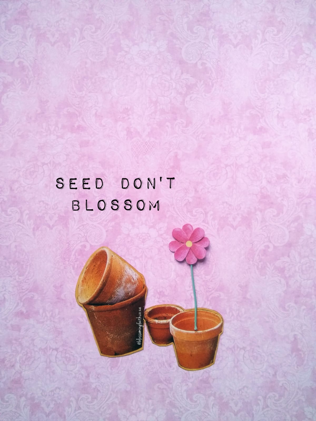To Blossom is the readiness to bear Fruit!